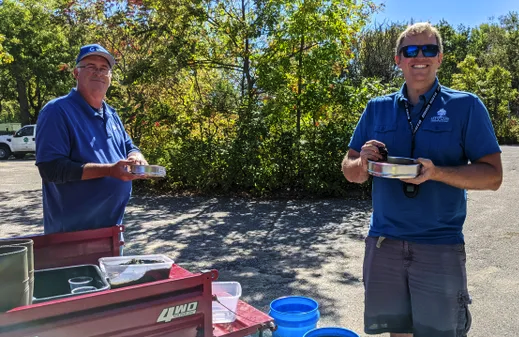 Panning for golden clams