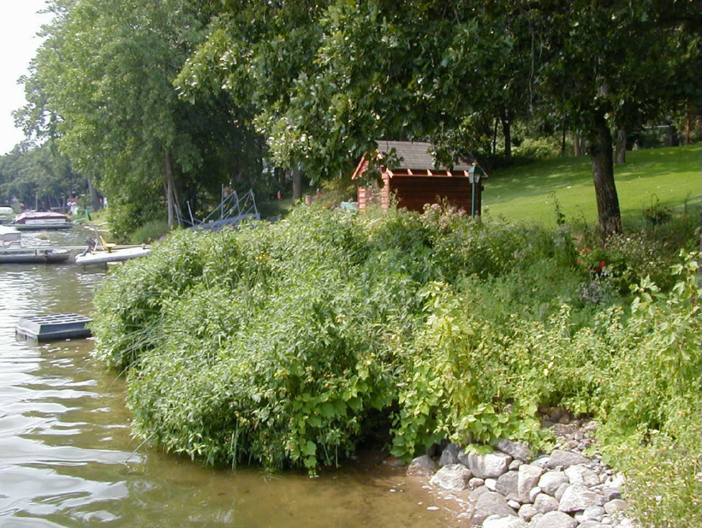 Buffer Briggs Lake