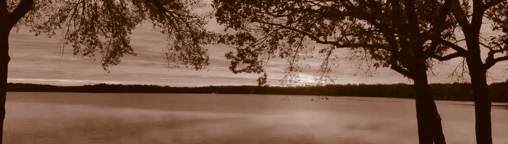 Sepia lake